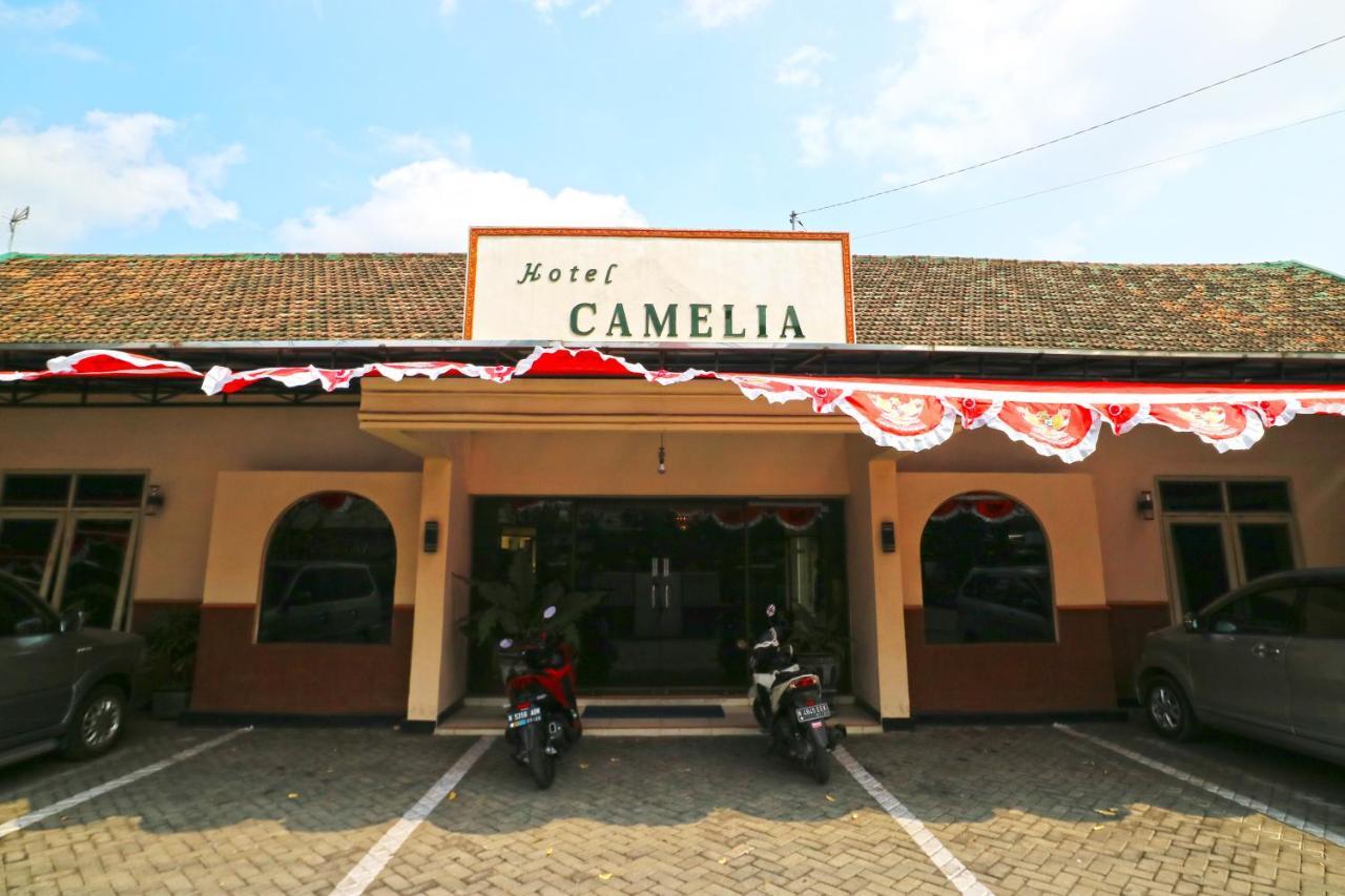 Hotel Camelia Malang Exteriör bild